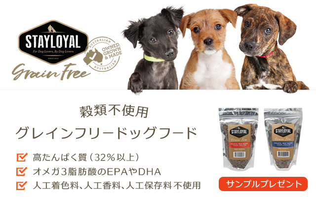 STAYLOYALステイロイヤル グレインフリー ドッグフード 穀類不使用・高たんぱく質 犬の餌