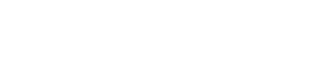 ホリスティックミートブレンド チキン、ラム、フィッシュ