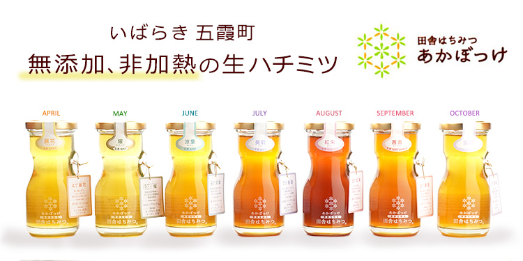 茨城県五霞町 田舎はちみつ あかぼっけ 天然の無添加・非加熱 生ハチミツ