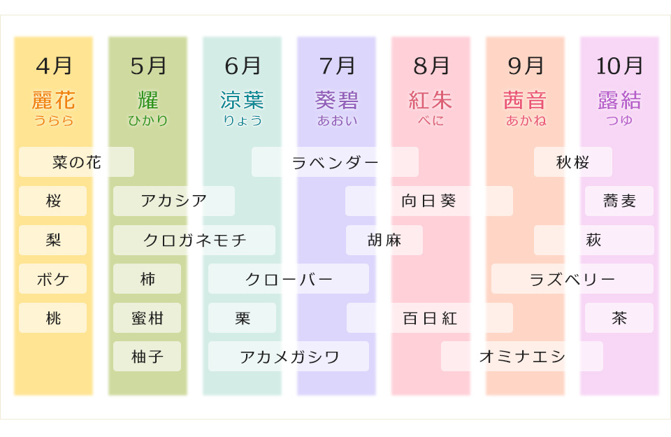 茨城県五霞町で月ごとに蜜を採っている生ハチミツの種類