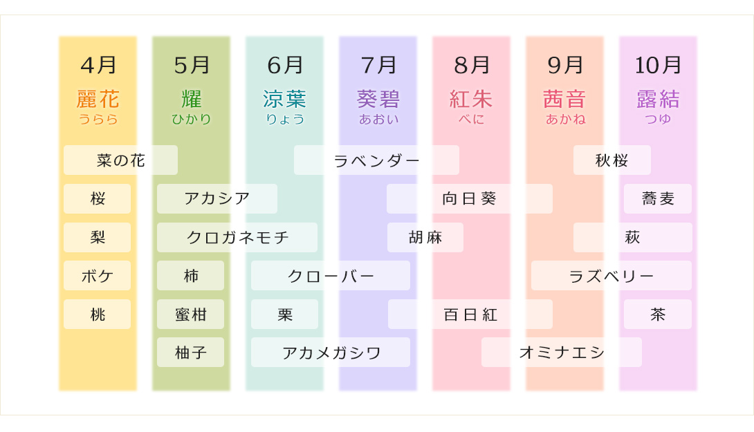 茨城県五霞町で月ごとに蜜を採っている生ハチミツの種類