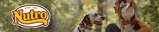Nutro NATURAL CHOICE ニュートロ ナチュラルチョイスのロゴと愛犬 スマホ用