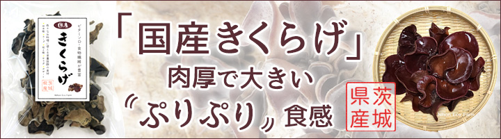 純国産 きくらげ通販 茨城県産 日本エコファーム