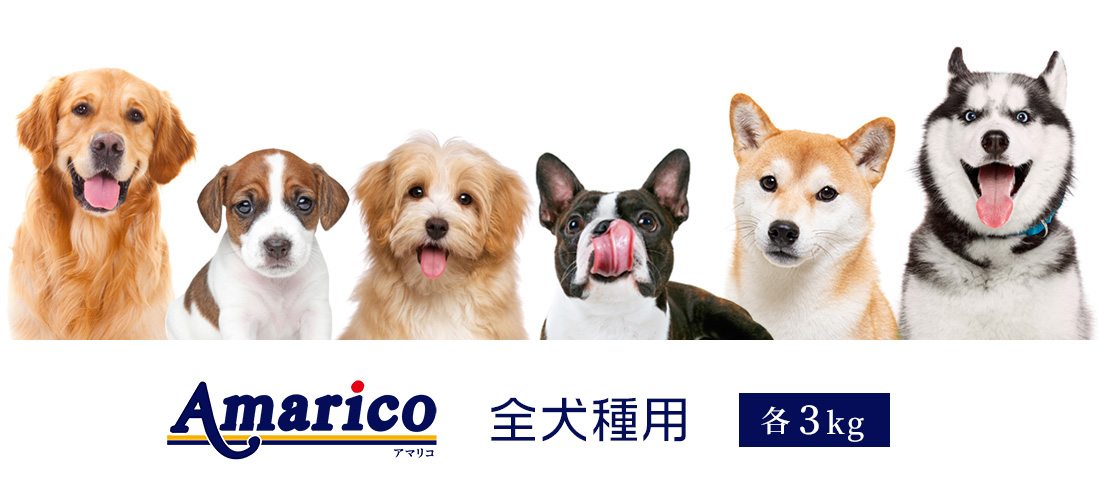 Amarico ドッグフード 全犬種用 6種類のわんちゃん