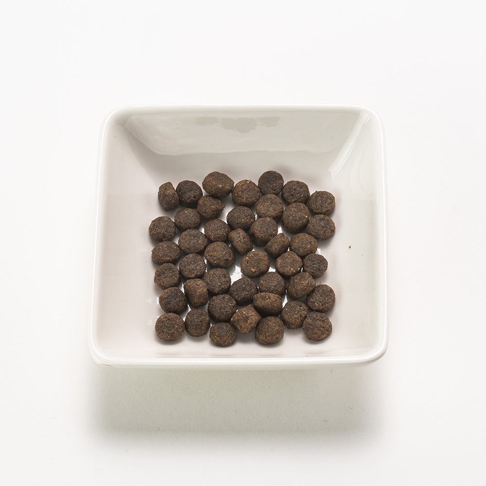 I love my cat INSEKTEN インセクト 1.2kg 粒サイズ