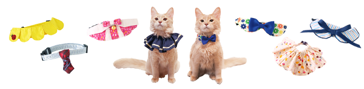 猫 首輪 にゃんカラー ミヌ ペッツルート ネコ着用イメージ
