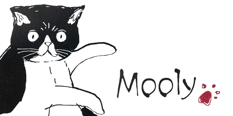 モーリー Moolyシリーズ 猫 ネコ noa family(ノアファミリー)