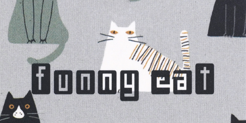 Funnycatシリーズ 猫 ネコ noa family(ノアファミリー)