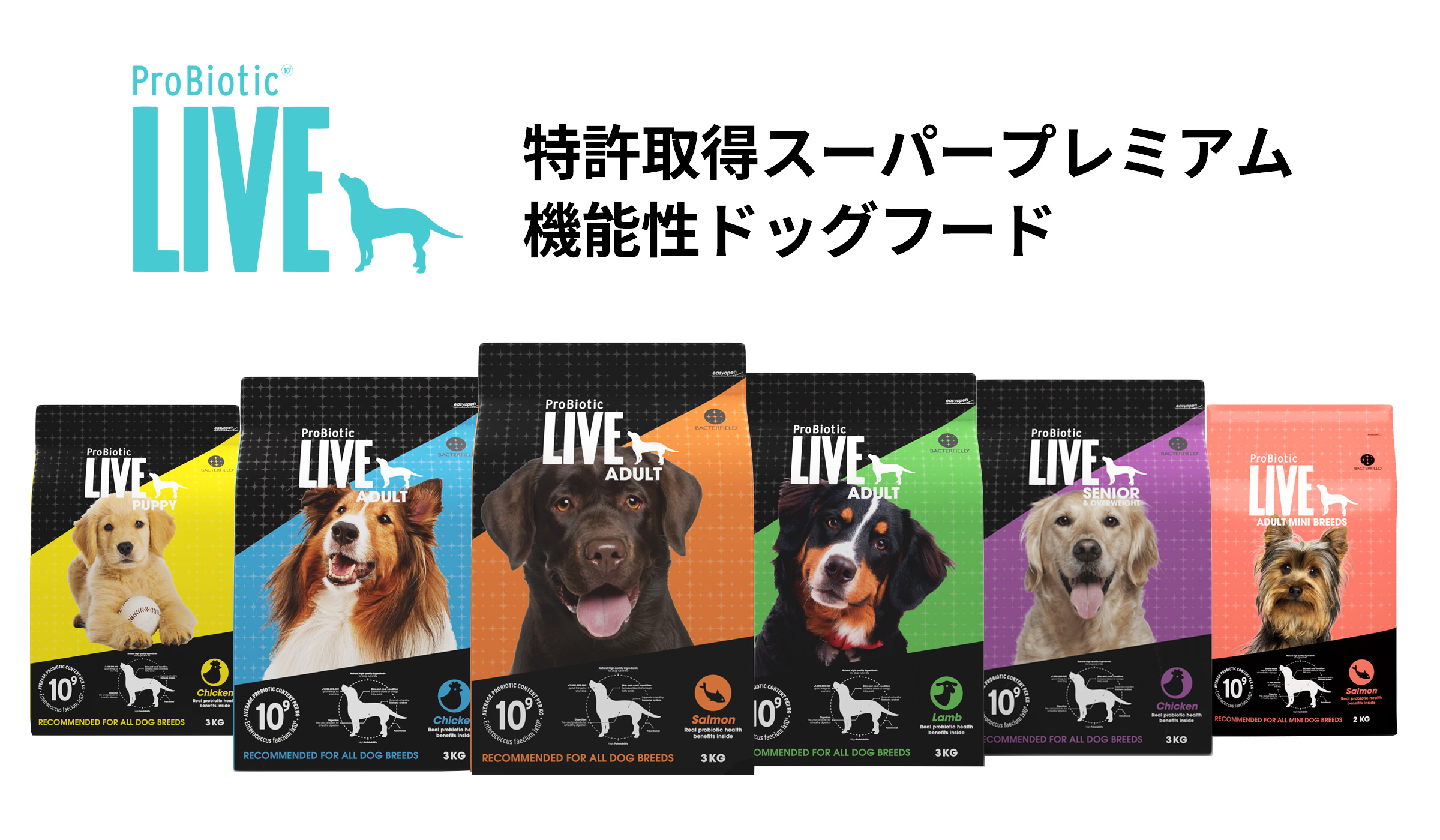 ProBiotic LIVE ドッグフード ラインアップ 成犬用 サーモン 特許取得 善玉細菌の入ったスーパープレミアムドッグフード BACTERFIELD