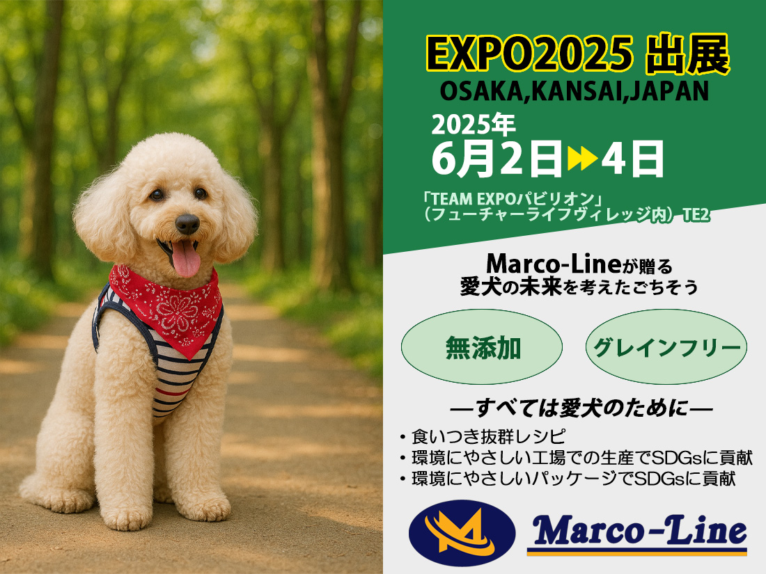 EXPO2025万博 OSAKA,KANSAI,JAPAN 大阪、関西、日本 出展