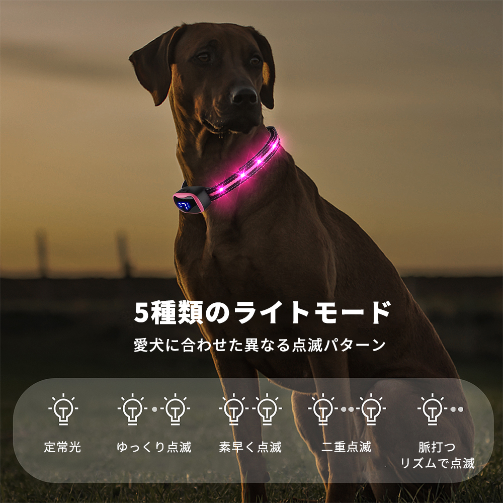 無駄吠え防止首輪 LED付 (ピンク) 5種類のライトモード