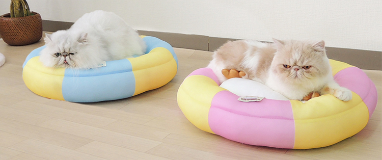 ひえひえ氷ベッド2way(小型犬・猫用) カワウソピンク・ぺんぎんブルー 氷まくら 暑さ対策ひんやりグッズ ペッツルート 使用イメージ