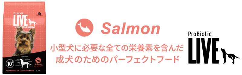 ProBiotic LIVE サーモン 小型犬 成犬用の特徴 プロバイオティック ライブ ドッグフード BACTERFIELD